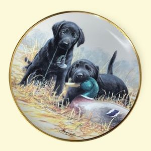 Limited Edition Beginner’s Luck Decorative Plate